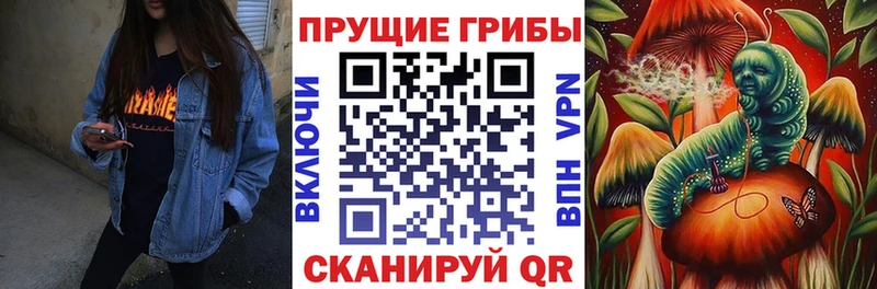 где купить наркоту  Новоульяновск  Псилоцибиновые грибы Magic Shrooms 